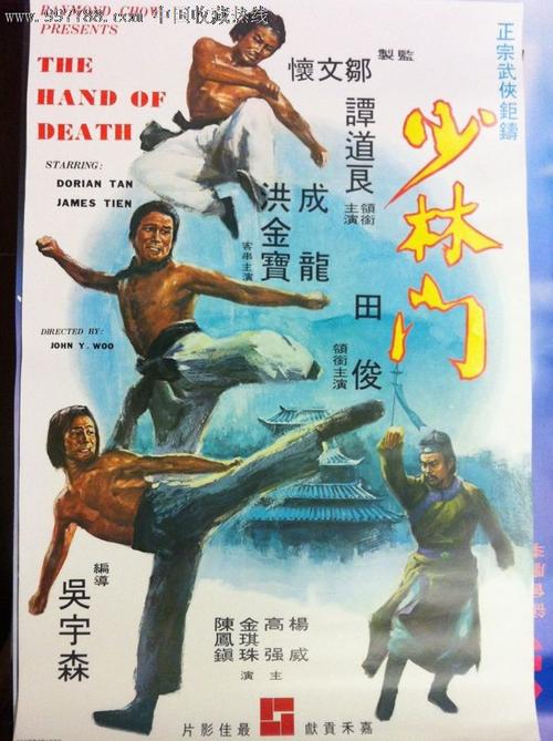 怎么买假的南非签证